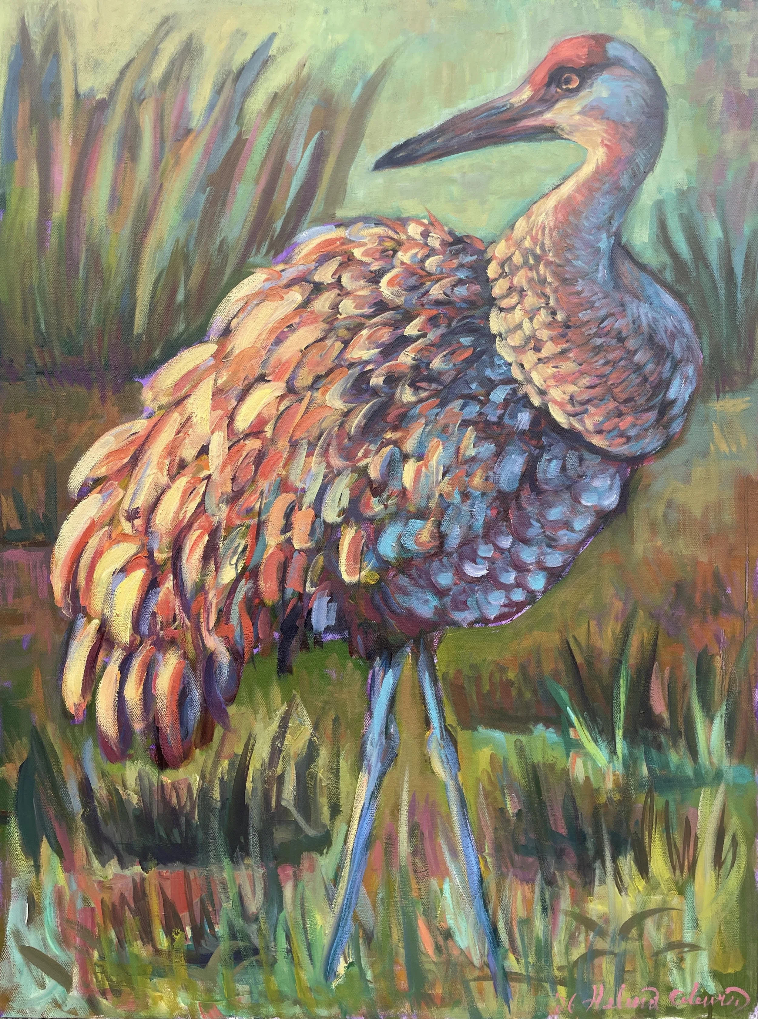 Sandhill Crane at Sunset