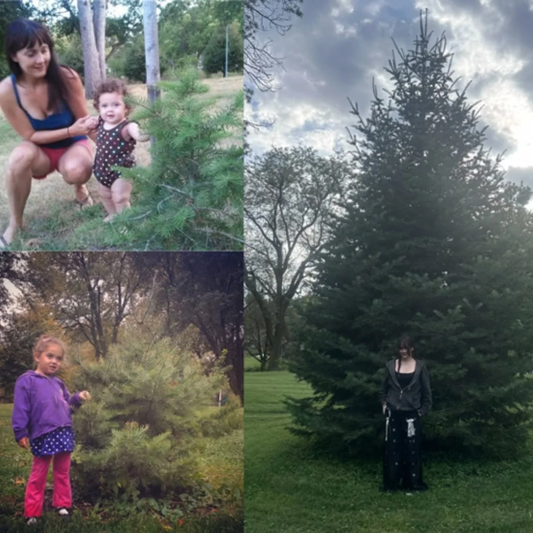 Story #64: Silent Witness - A Guest Post by Graham Herbst, Nebraska Forest Service