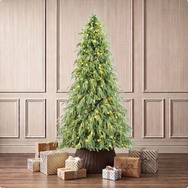 Holiday Living Willow Spruce 8 ft pre-lit Christmas tree with drooping branches