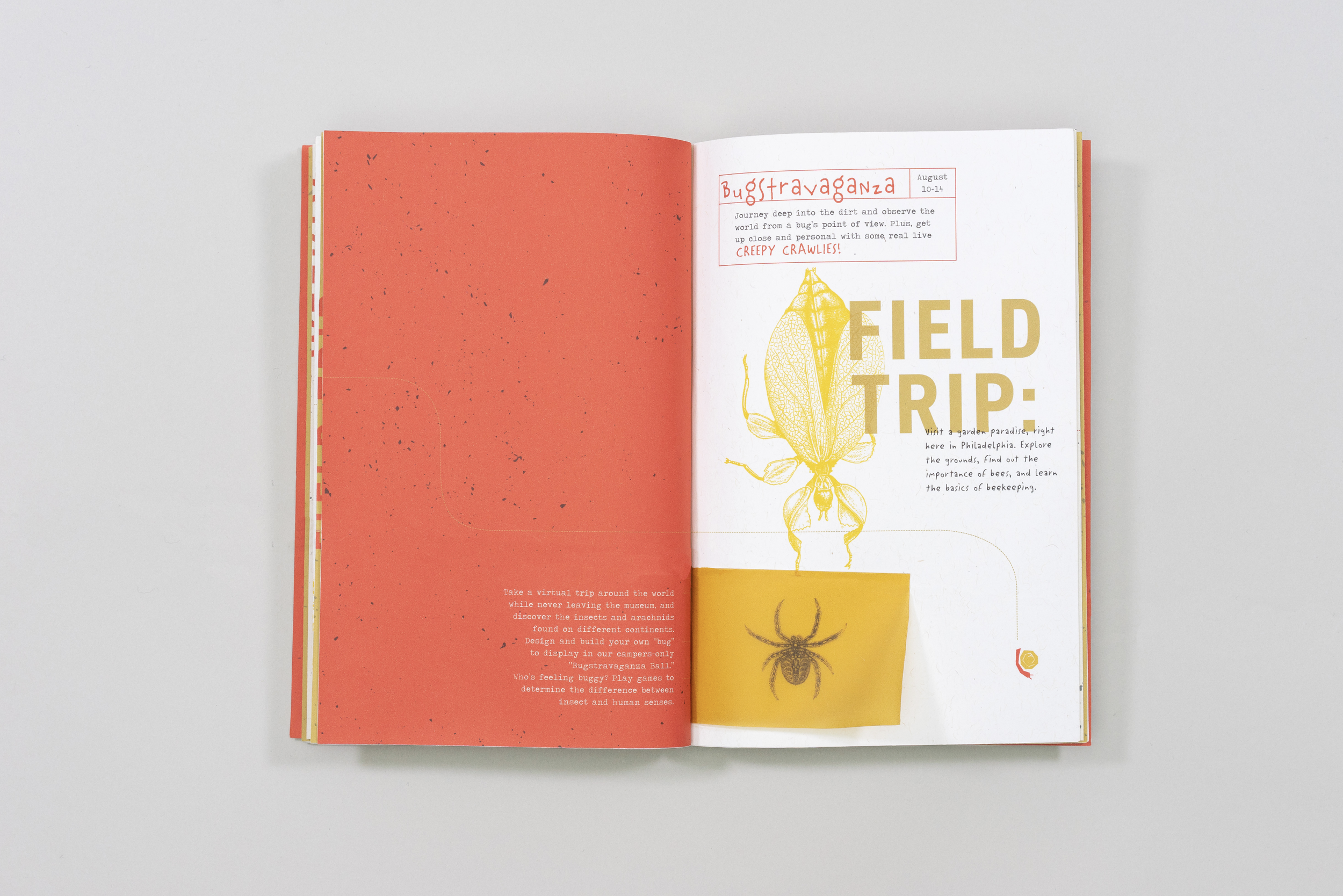 Screenshot 2026-01-22 at 9.06.27 PM.png