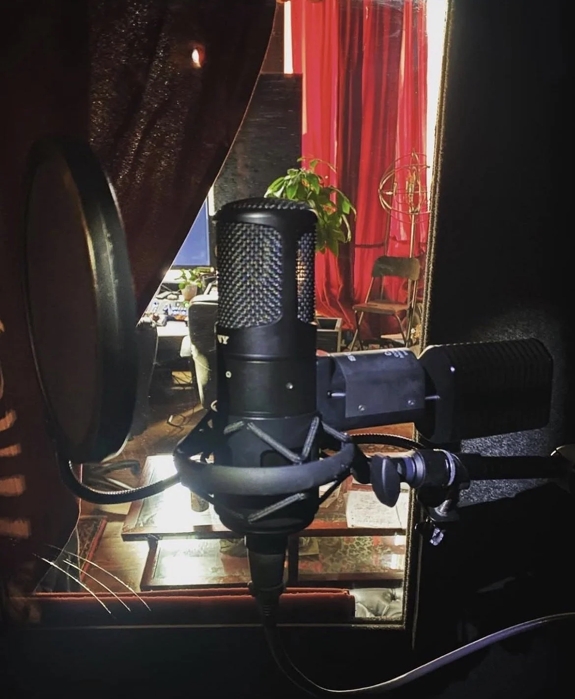Sony condenser microphone with pop filter and acoustic treatment for vocal recording.
