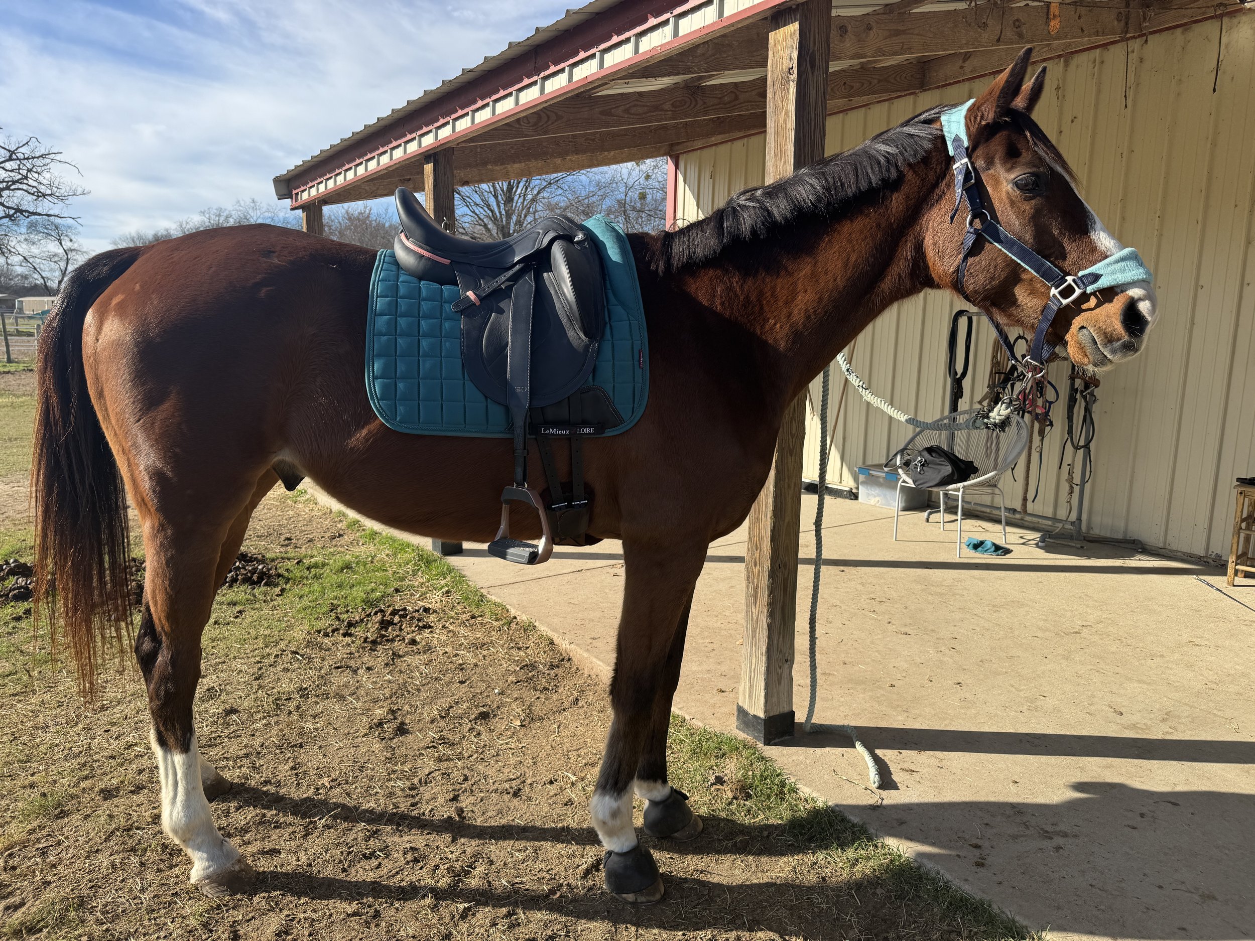 Easy Topper (aka Simon)