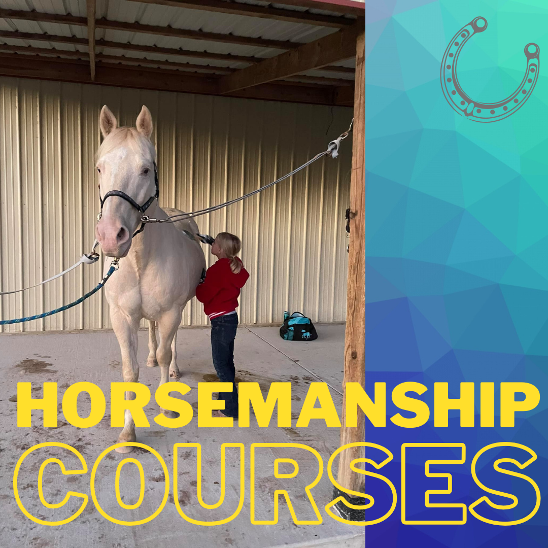 Horsemanship Courses
