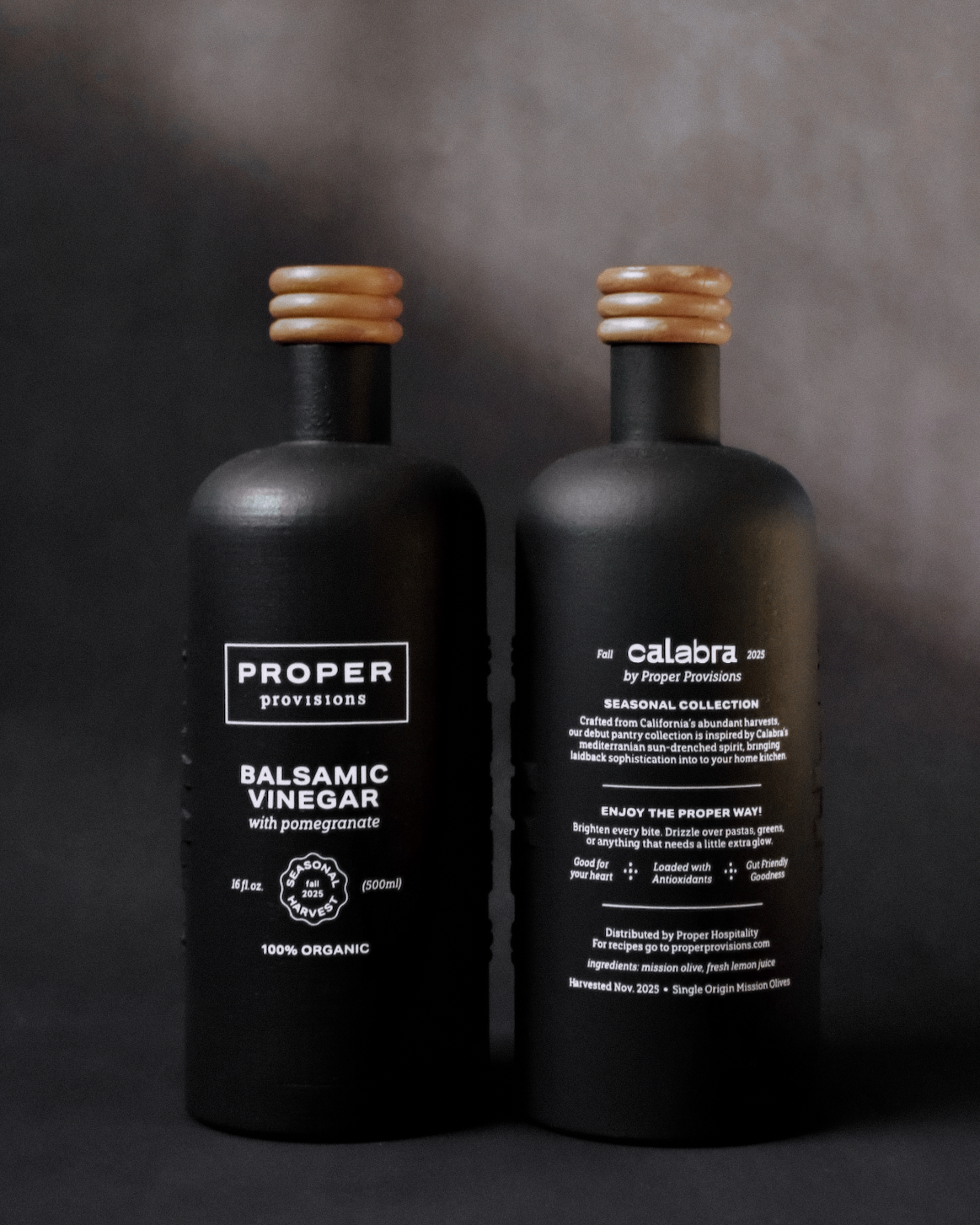 CaressHailey_KimHaily_ProperProvisions_PackDesign3_FA2021_Oil+%26+Vinegar-Edit.png