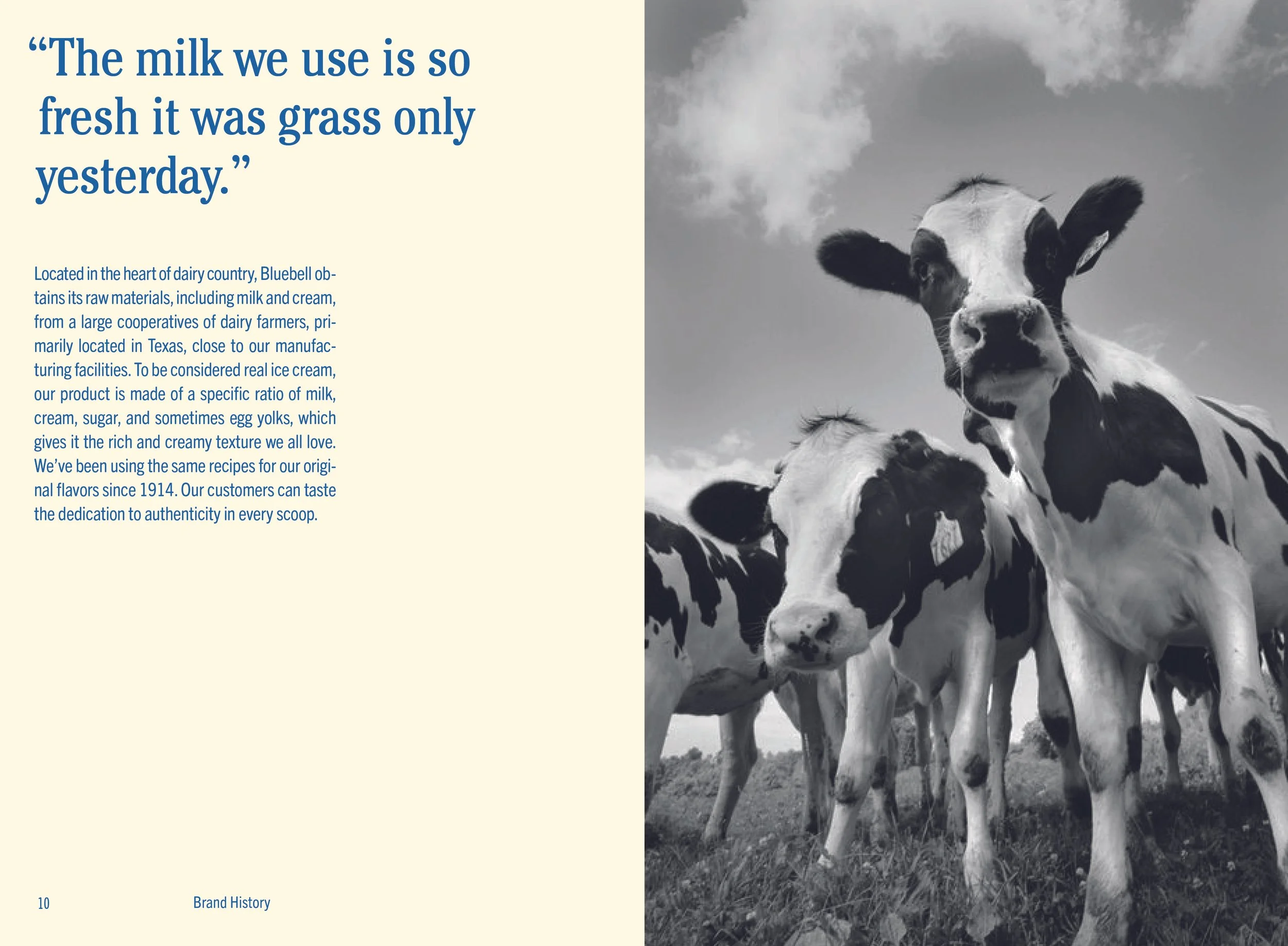 booklet spreads3.jpg