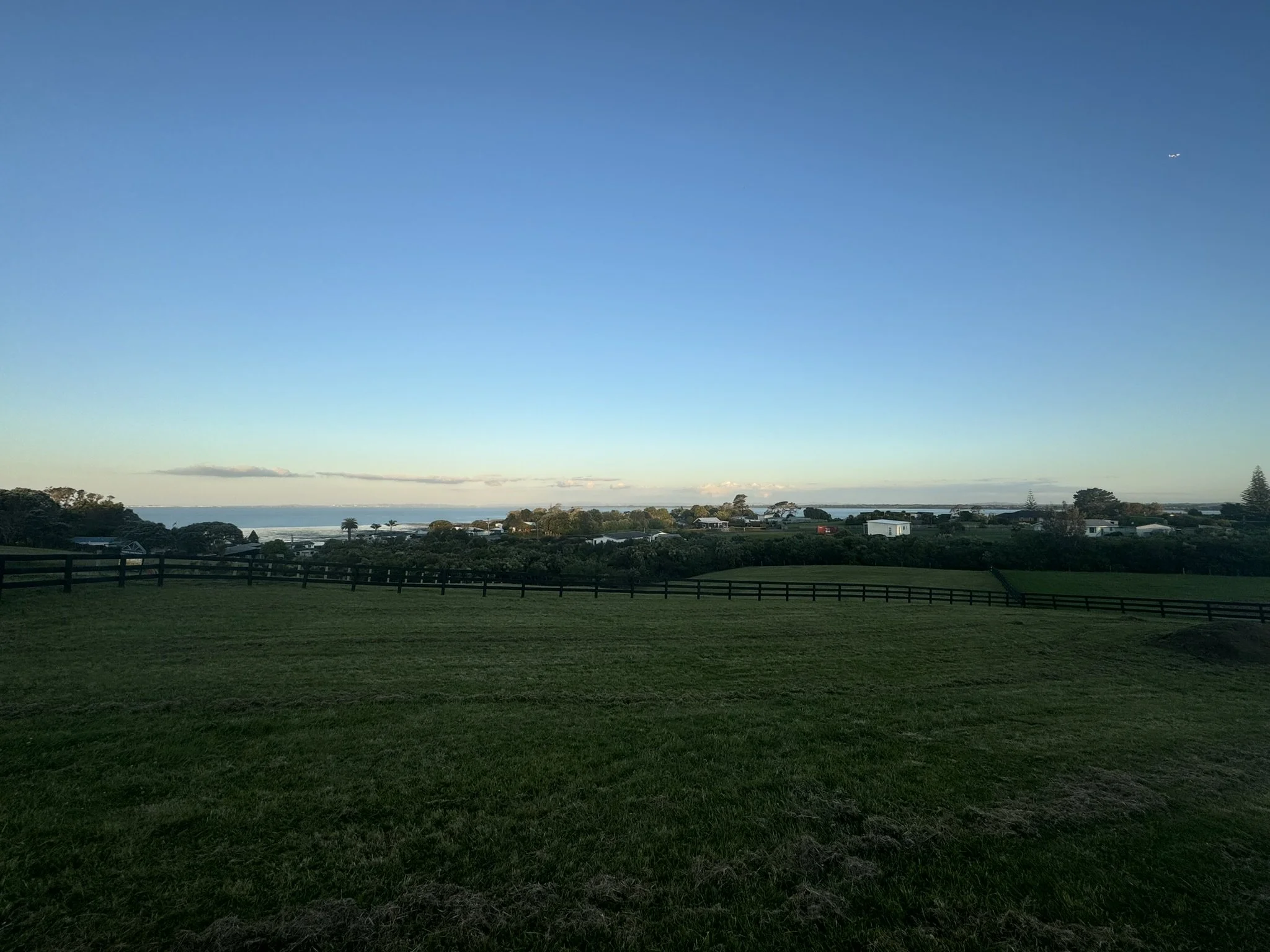 Latest Newsletter &amp; Lots of progress on the sold sections