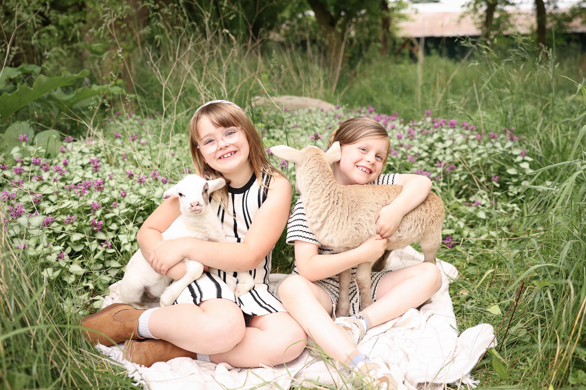 Lamb Mini Sessions