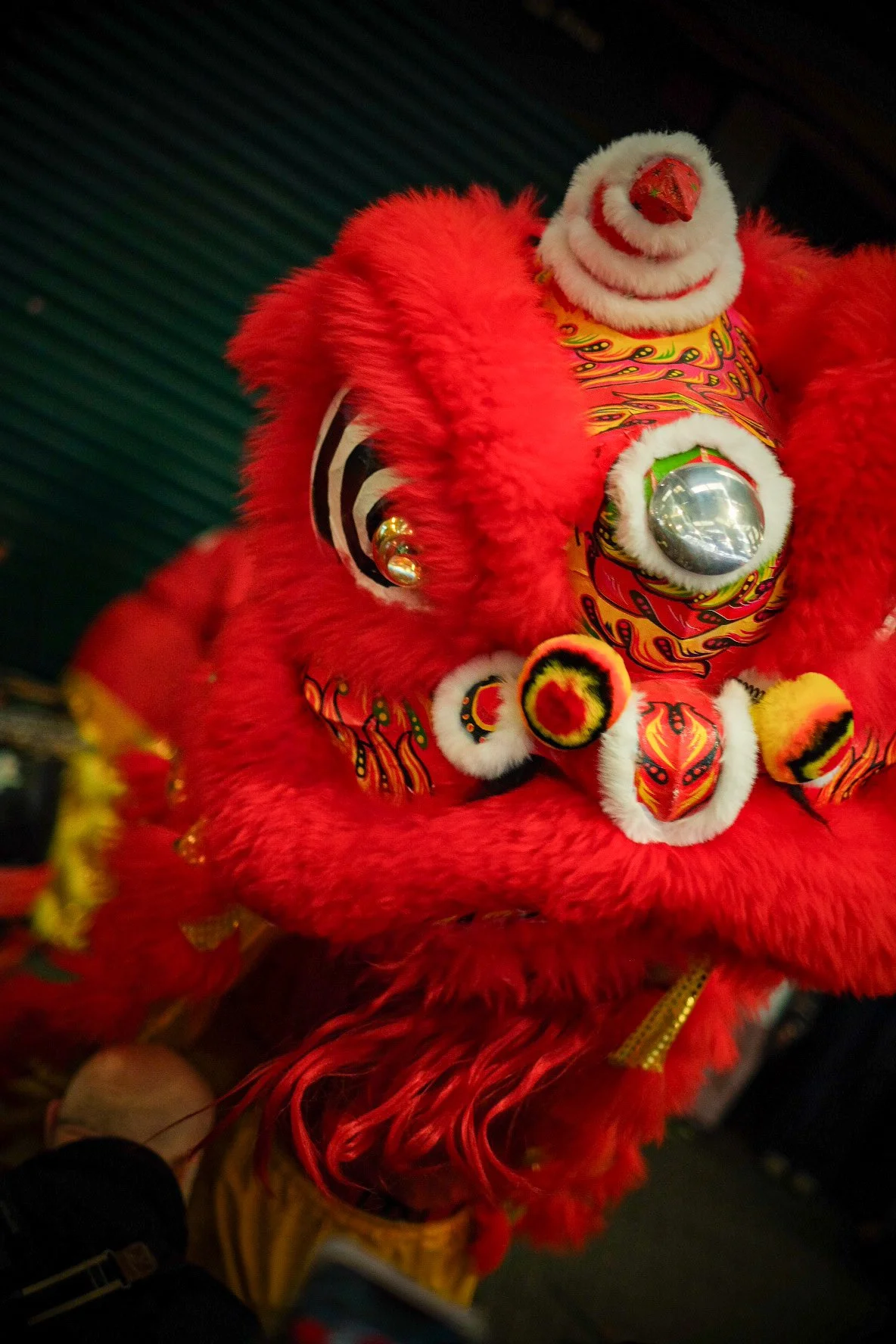 Year Of The Fire Horse