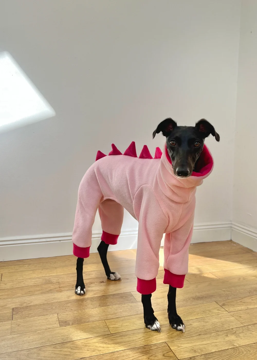 Dinosaur onesie FASHUND