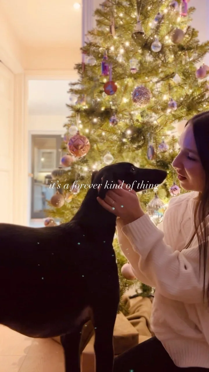 FASHUND Fashion for Hounds