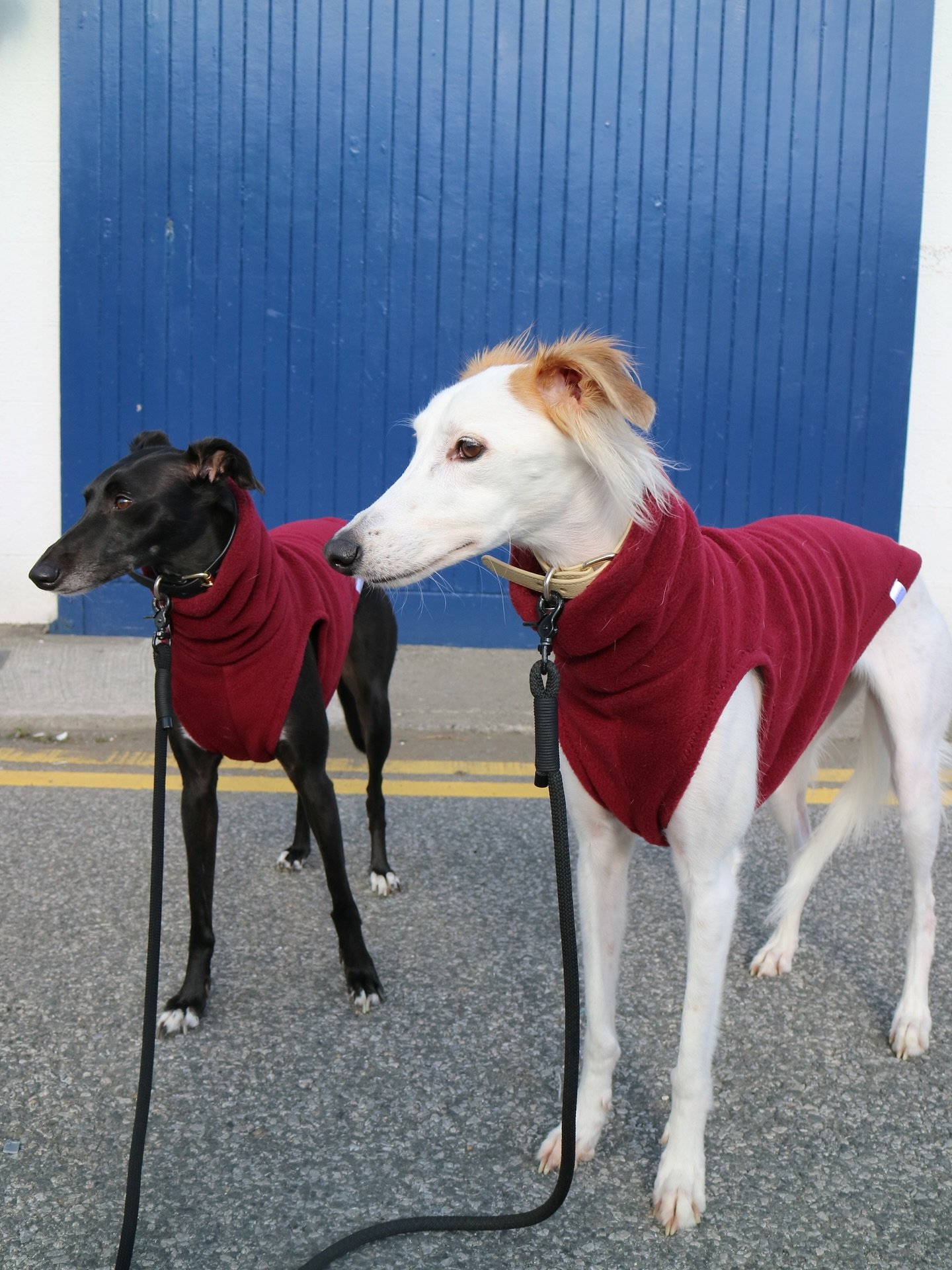 Our beloved Burgundy fleece is restocked on the website! 

The fabric sample finally arrived when we were away visiting family abroad. The amazing news is that the colour is the same as before (not sure what my supplier was talking about) so more fab