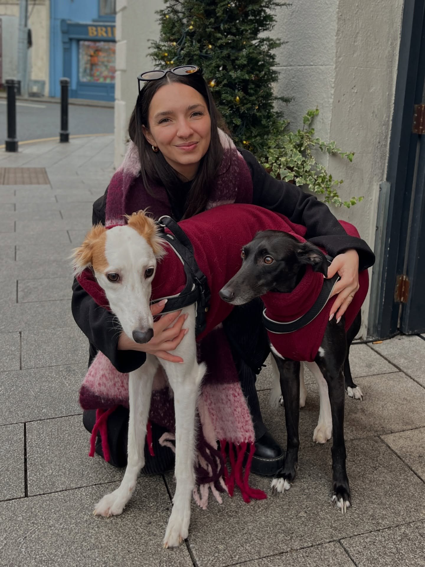 Come see us at Mountain View Market next month! 

I&rsquo;m delighted to share the news that we will be back in Kilkenny at our favourite market ever for one Sunday only. It&rsquo;s been over 3 years since we were there so I&rsquo;m so happy to be ba