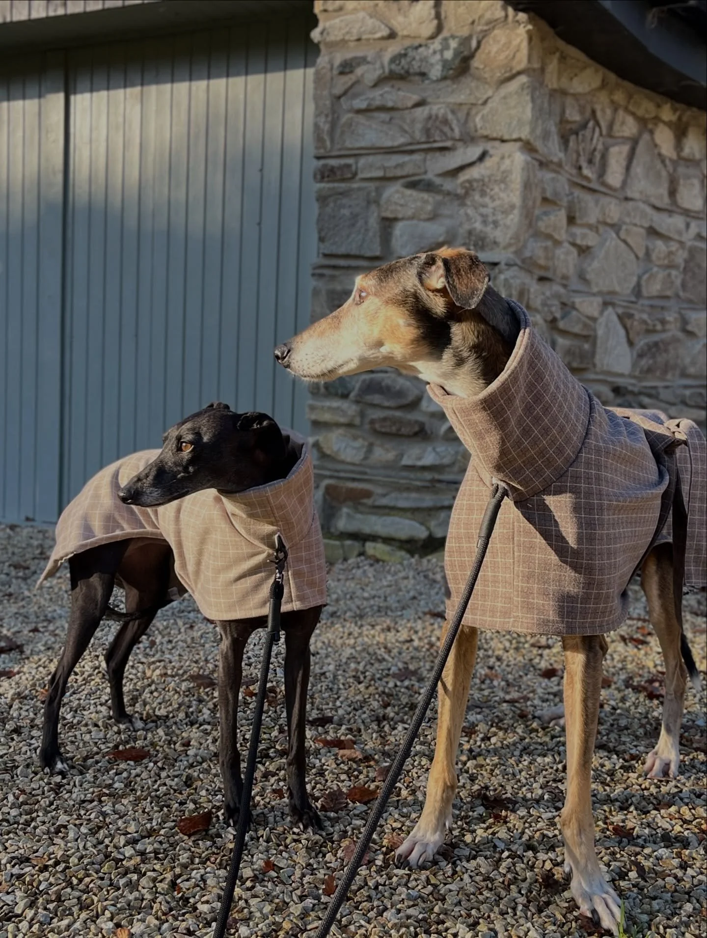 Just two sleeps till the Christmas market at Mountain View! 

Come to say hi and see all the beautiful dog raincoats, fleeces and accessories we&rsquo;re bringing with us, including the two colours of our Trench coat. 

I will be giving you tomorrow 