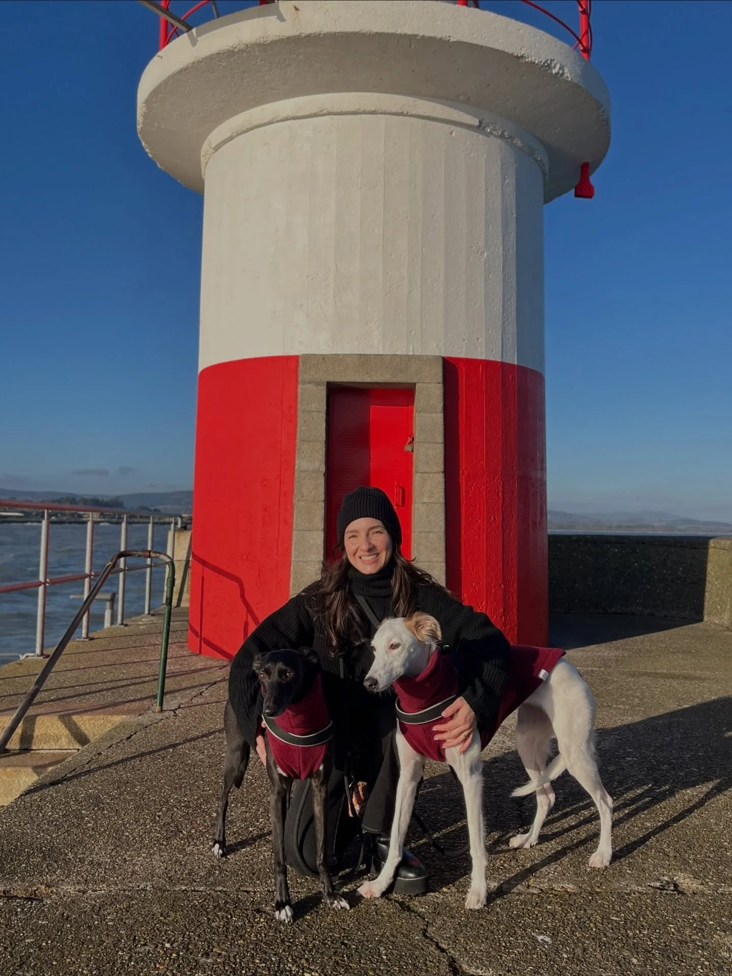 Wishing you and all your doggies a wonderful Christmas! 

Thank you for all your support this year, I feel so lucky to have so many amazing customers and I can&rsquo;t thank you enough for following us along this journey. When you buy something from 