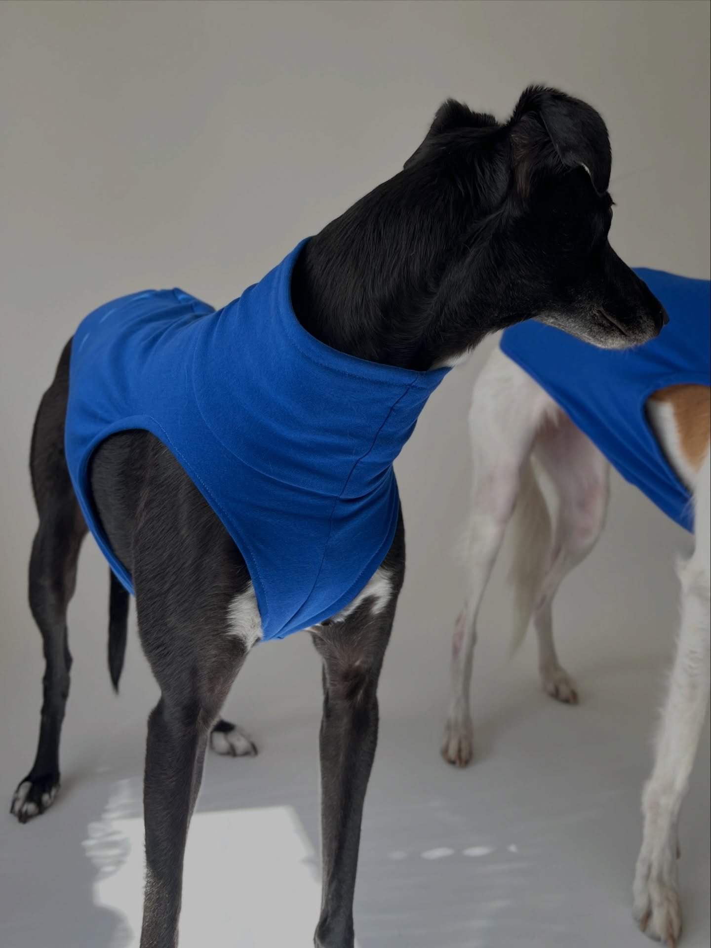 Reasons why we love our Cotton Tee:

1: the slim fit and cropped style
2: it&rsquo;s our most lightweight design, perfect for Spring/Summer
3: the binding matching the fabric to give the garment the perfect finish
4: the new neck, updated and now sho