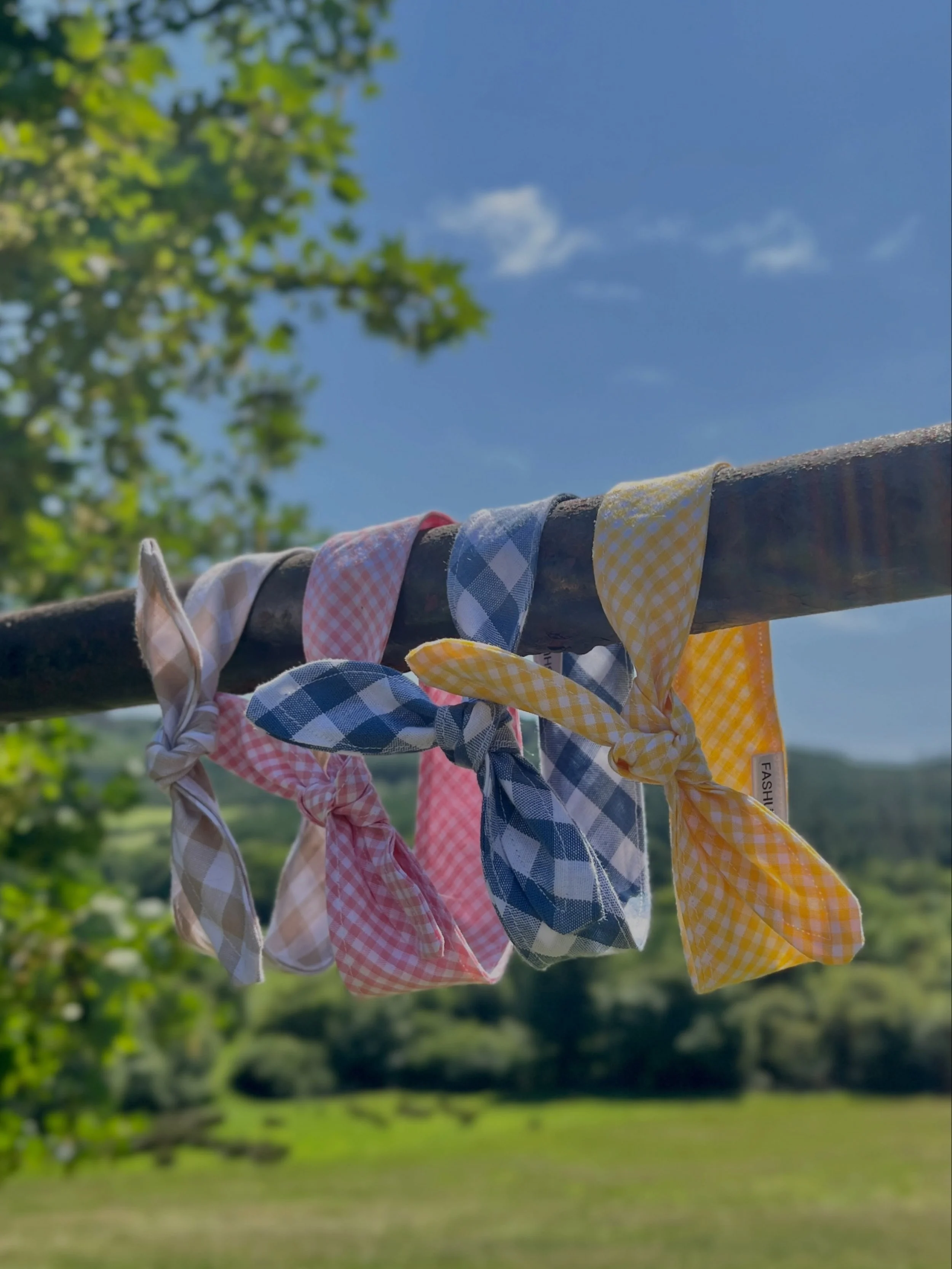 Our Etsy shop is live and we have a small discount for your to enjoy! 

For now we only have our Summer Neckerchief and Tartan Bow Tie for sale, but we will be posting more ready to ship fleeces and coats over there too. 

Etsy is hard! So we have se