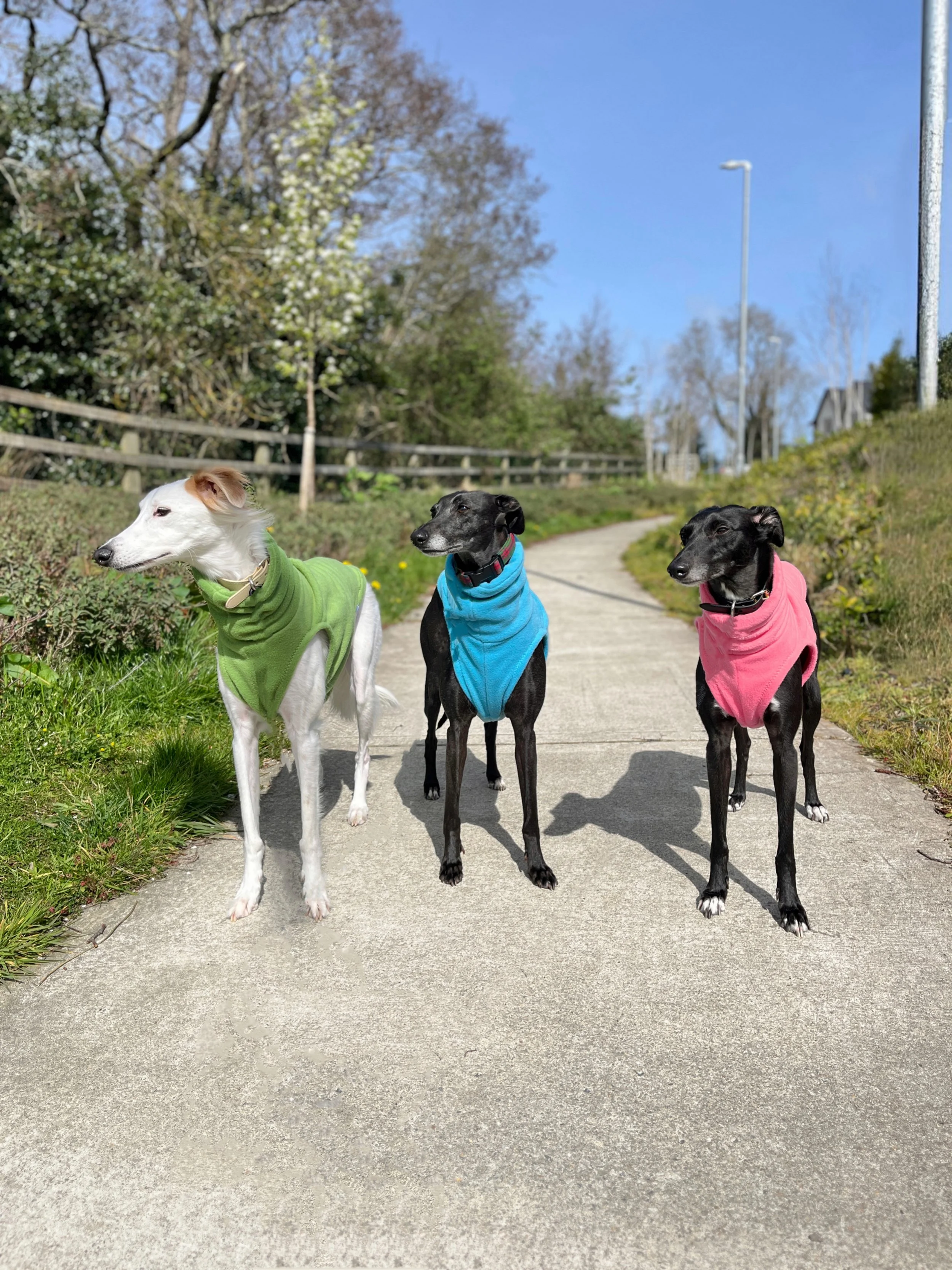 Fleece sleeveless - Brights