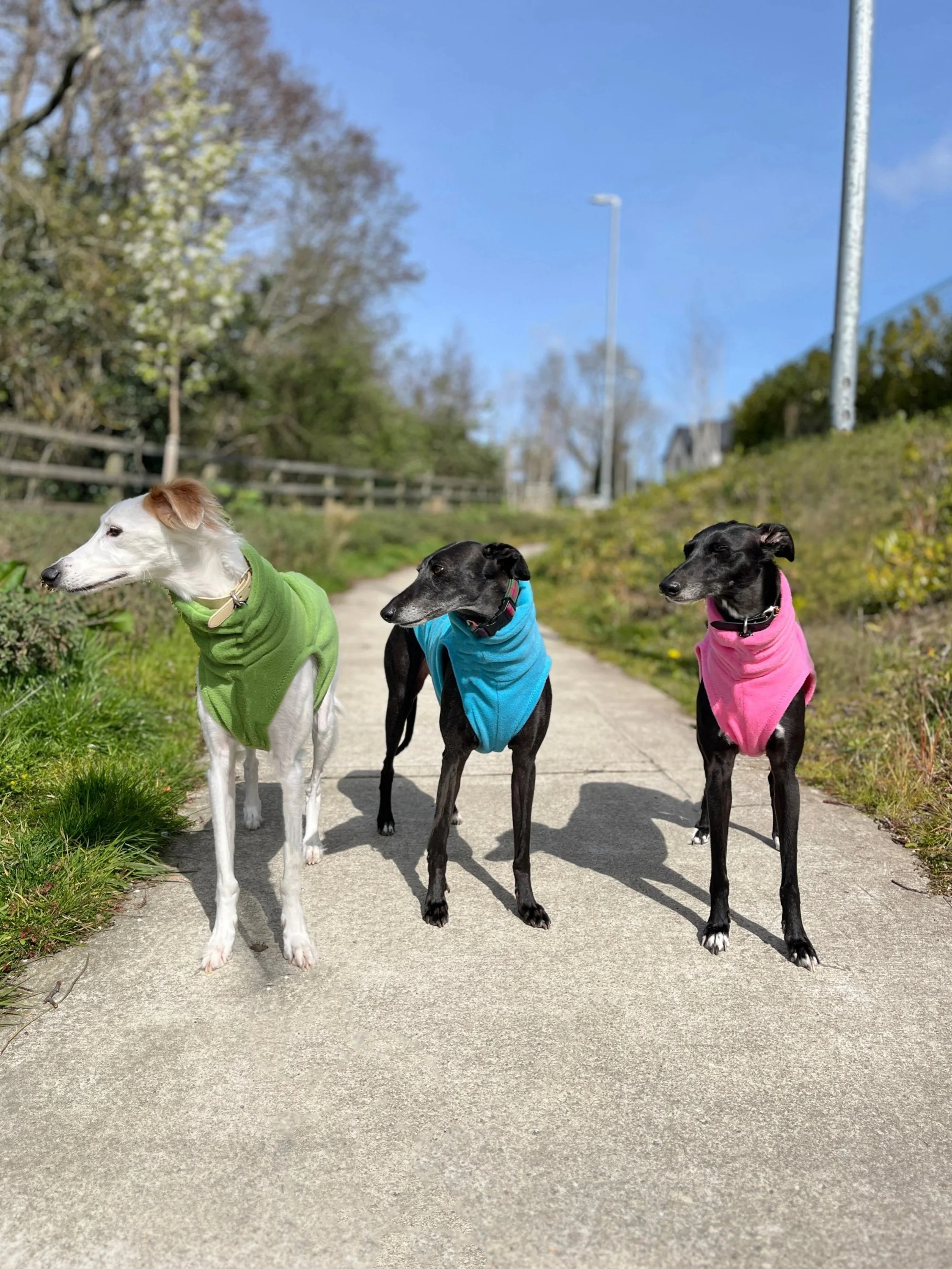 Fleece sleeveless - Brights