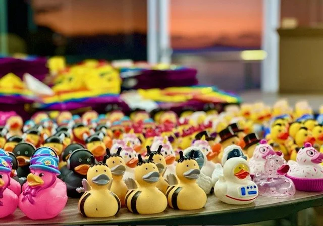 Ducks in a row.jpeg