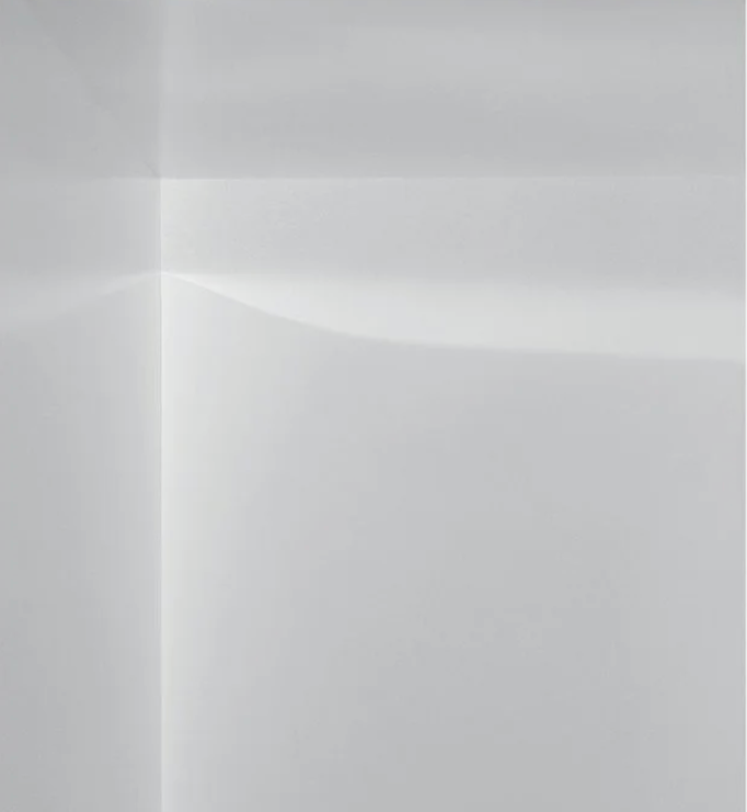 Invisible Words, Book 2026
