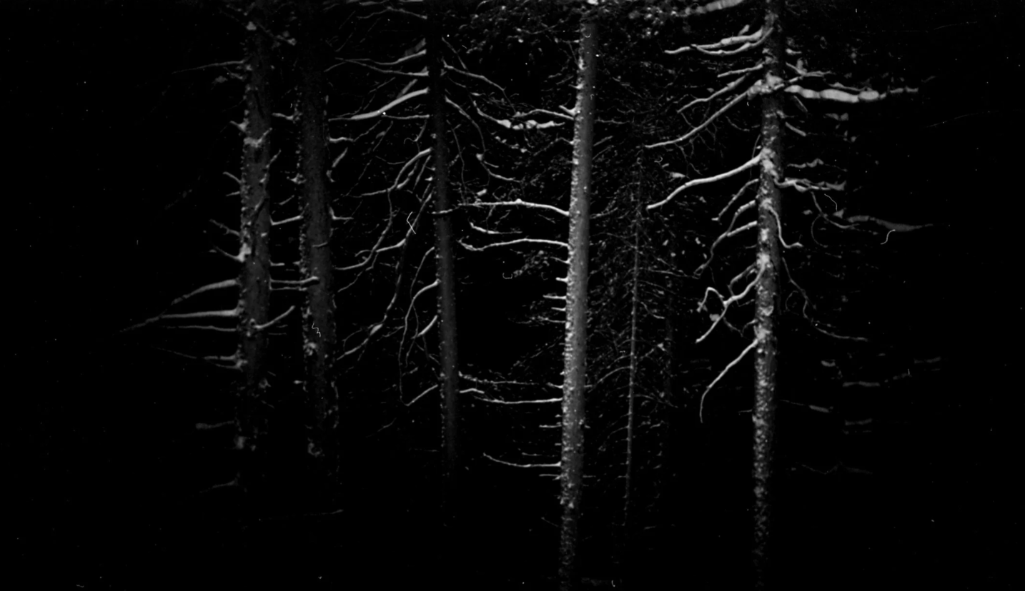 Screenshot 2026-02-13 at 12.41.36.png