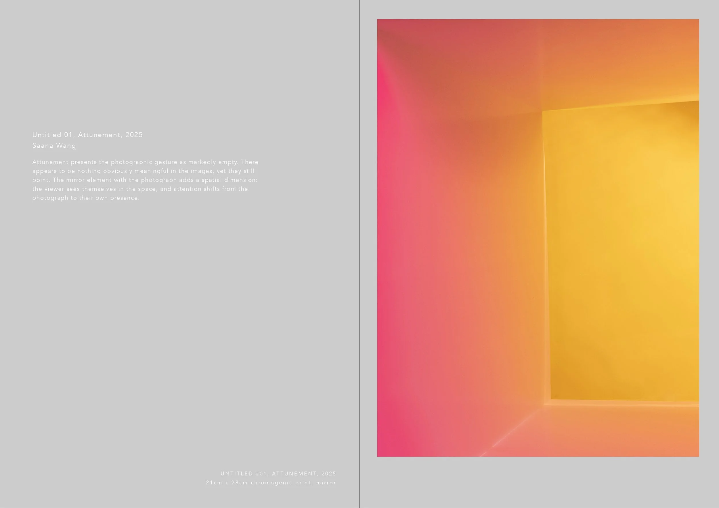 Untitled 01, AttunementI©SaanaWang_01.jpg