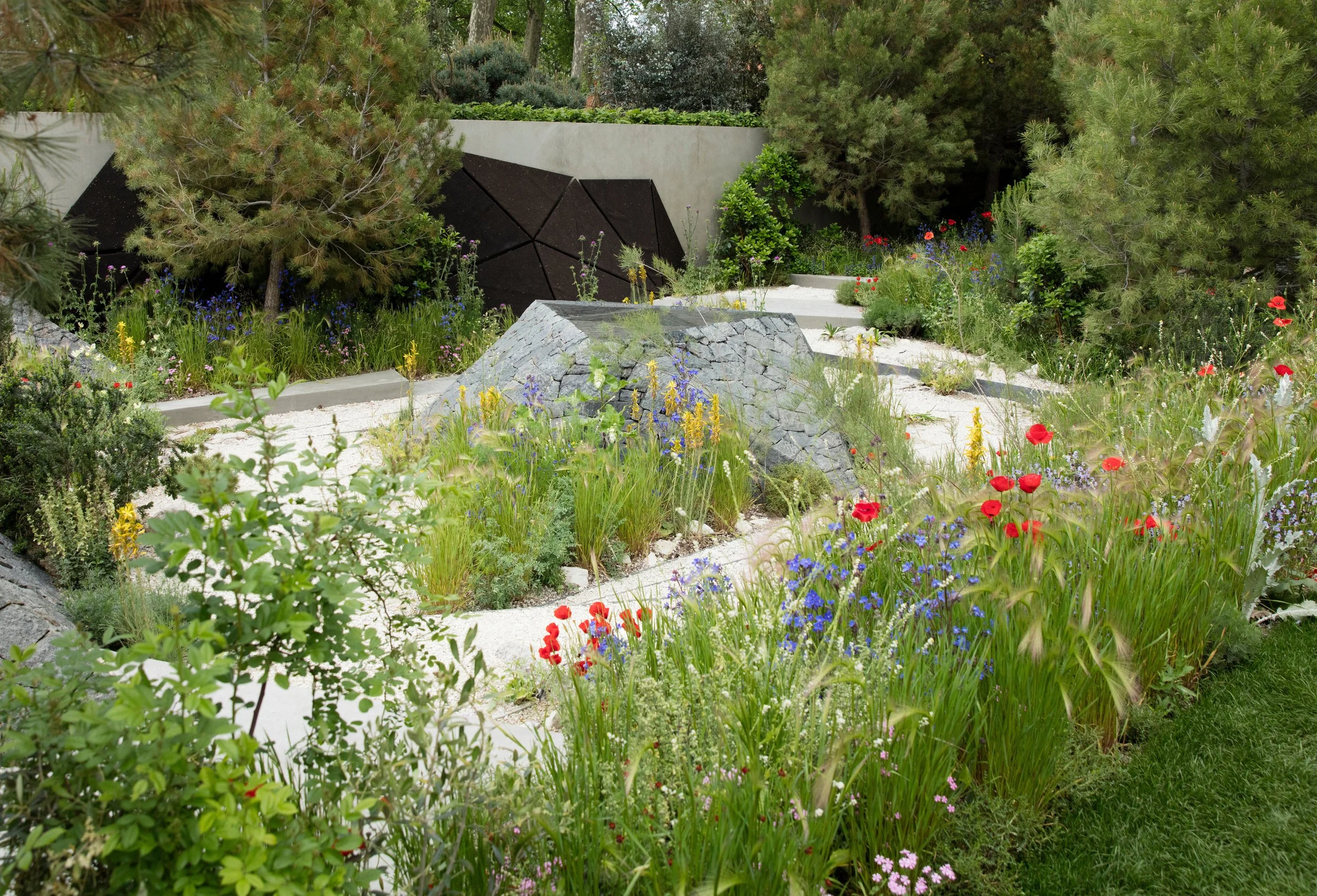 How to rewild a landscape through design