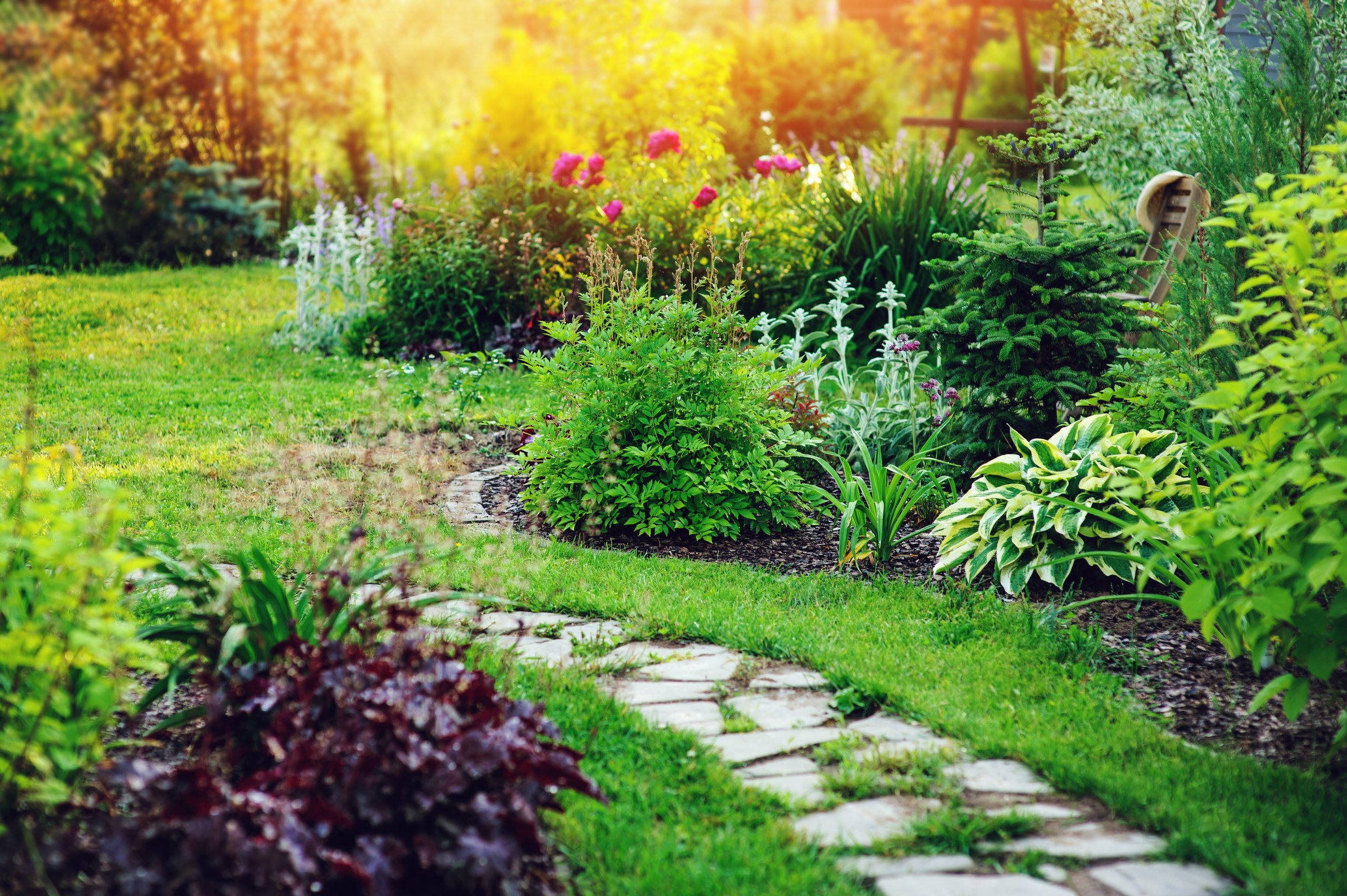 The future is wild! Insights from the RHS Chelsea Flower Show