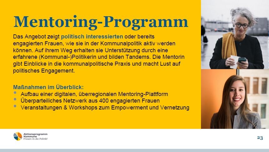Modul_MentoingProgramm.JPG