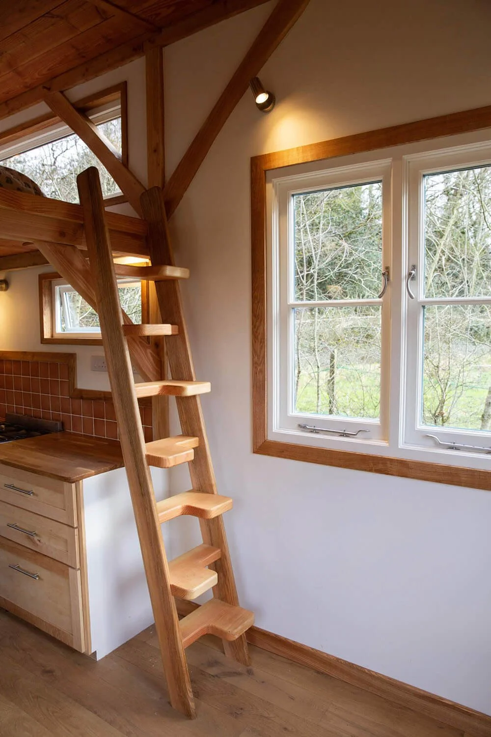 Tinyhouse ladder.jpg
