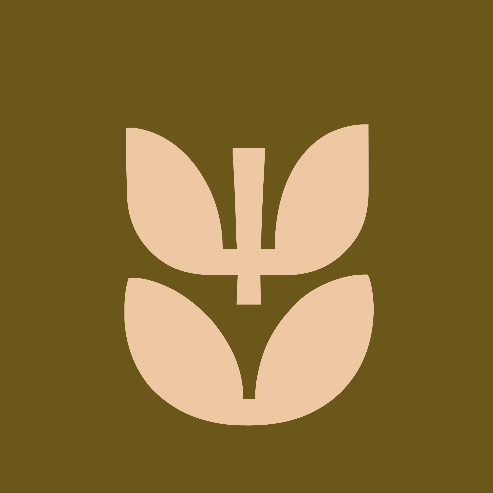 Design First, Sustainability Always: Inside My Interior Design Process