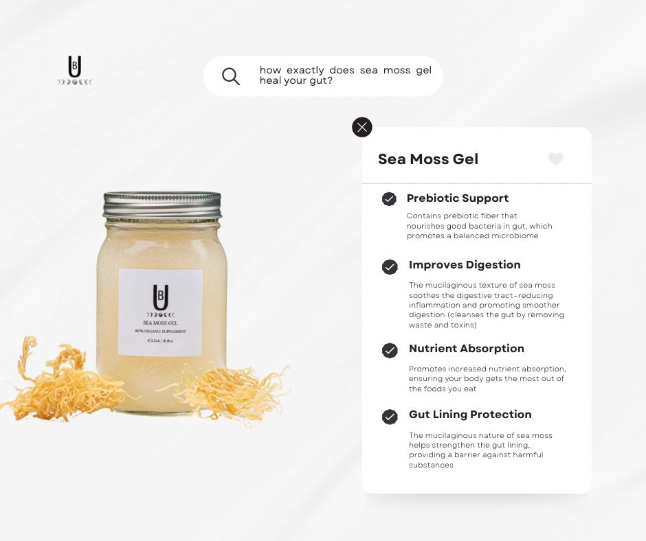 how does sea moss gel heal your gut.jpeg