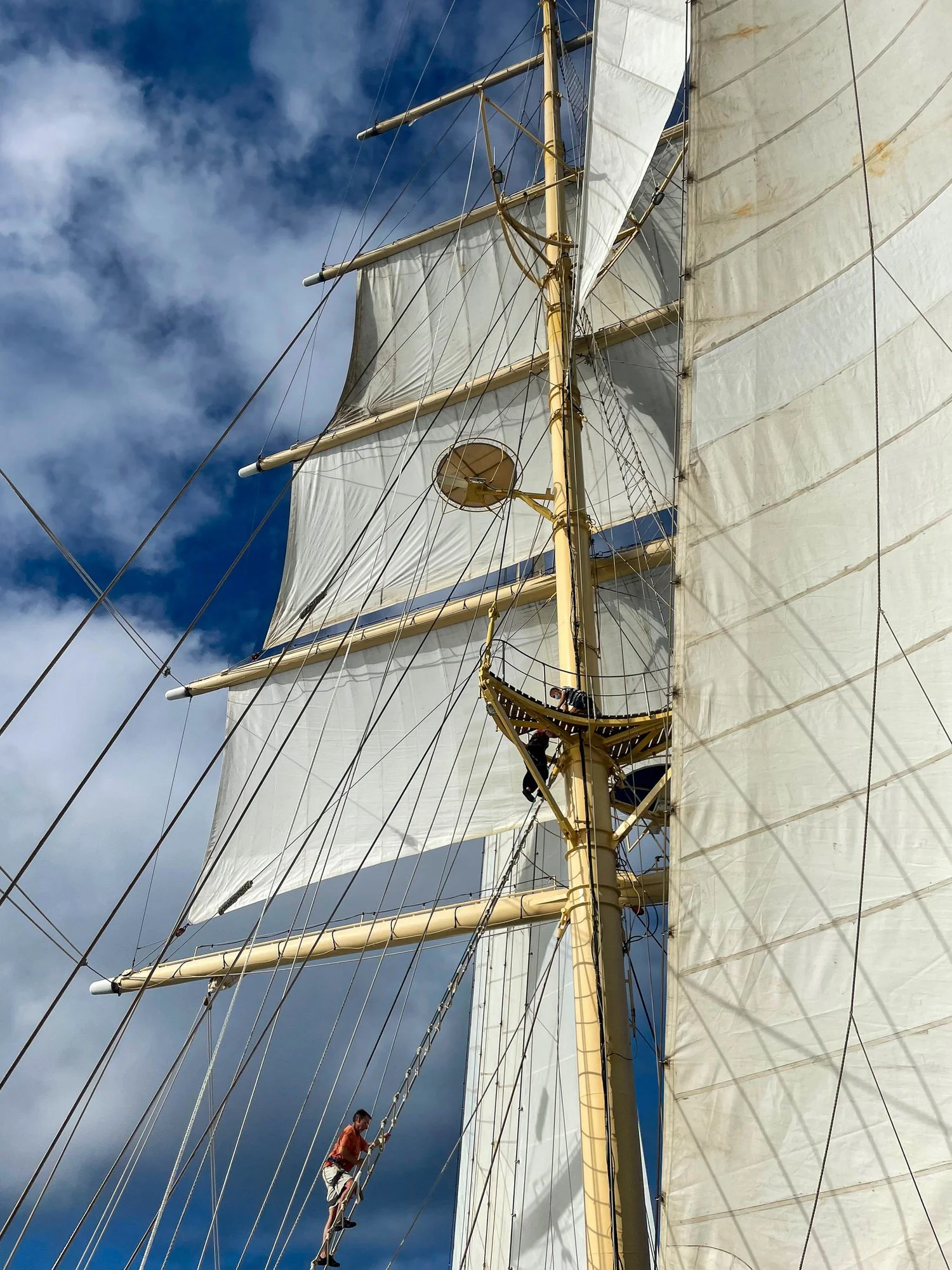 Sails on the Star Clipper Ship