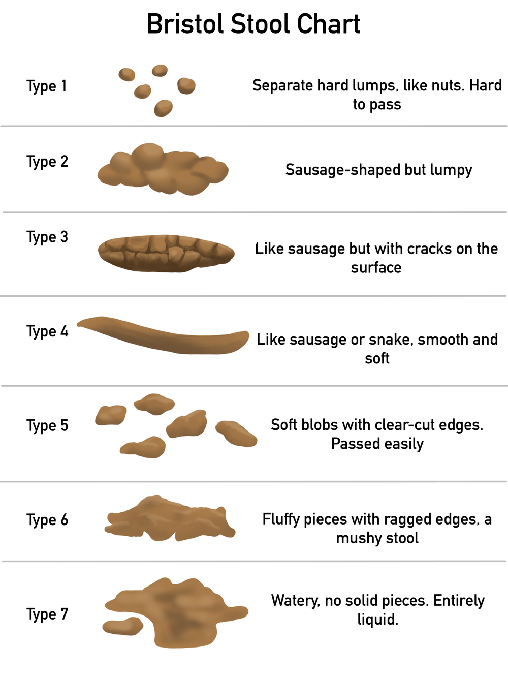 What does your Poo look like? Bristol Stool Chart — Lystra Physical