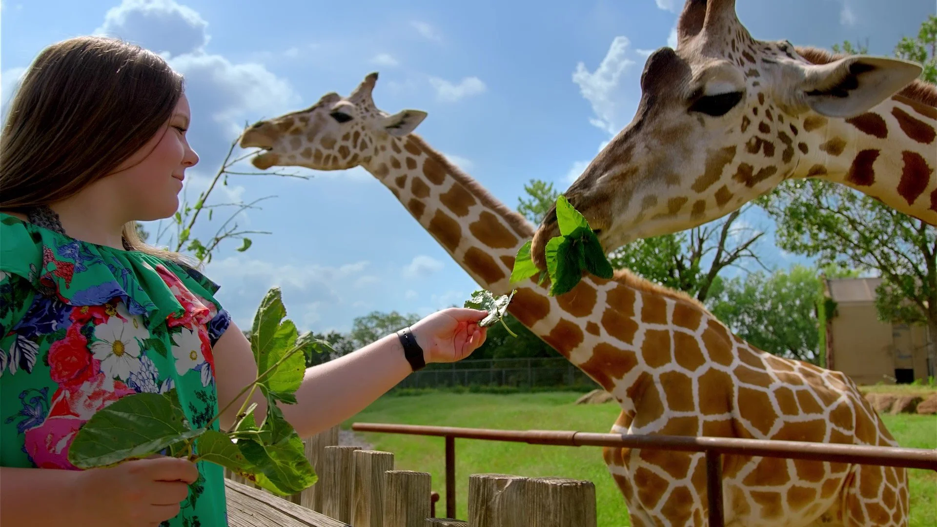 OKC Zoo