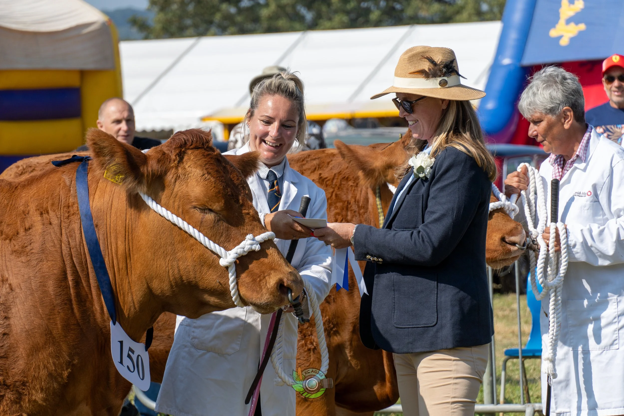Camborne Show - South Devons-118.jpg