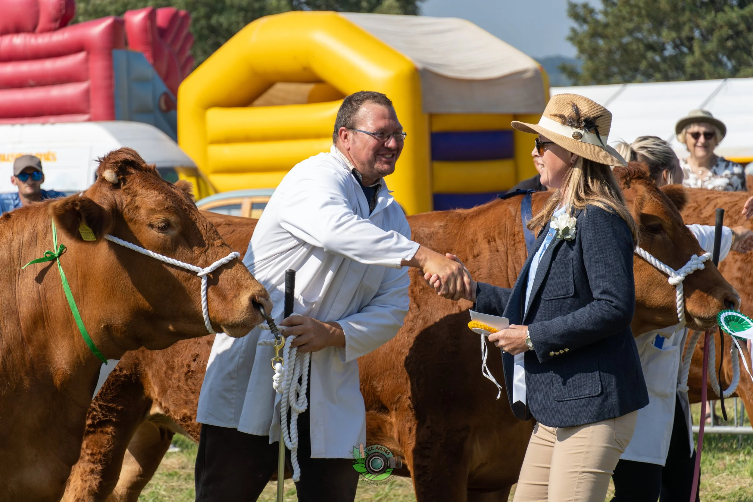 Camborne Show - South Devons-117.jpg