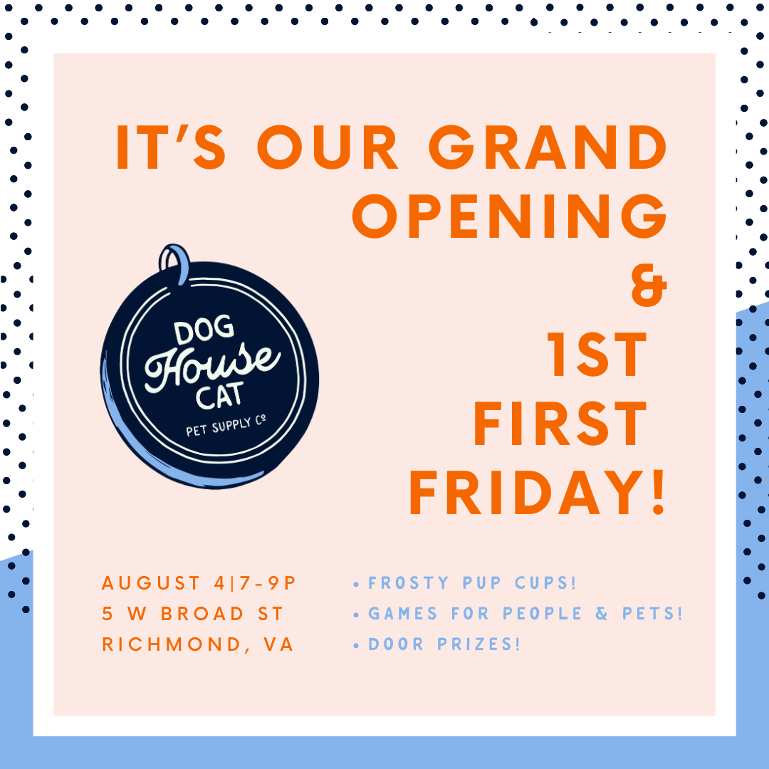 grand opening & first first friday
