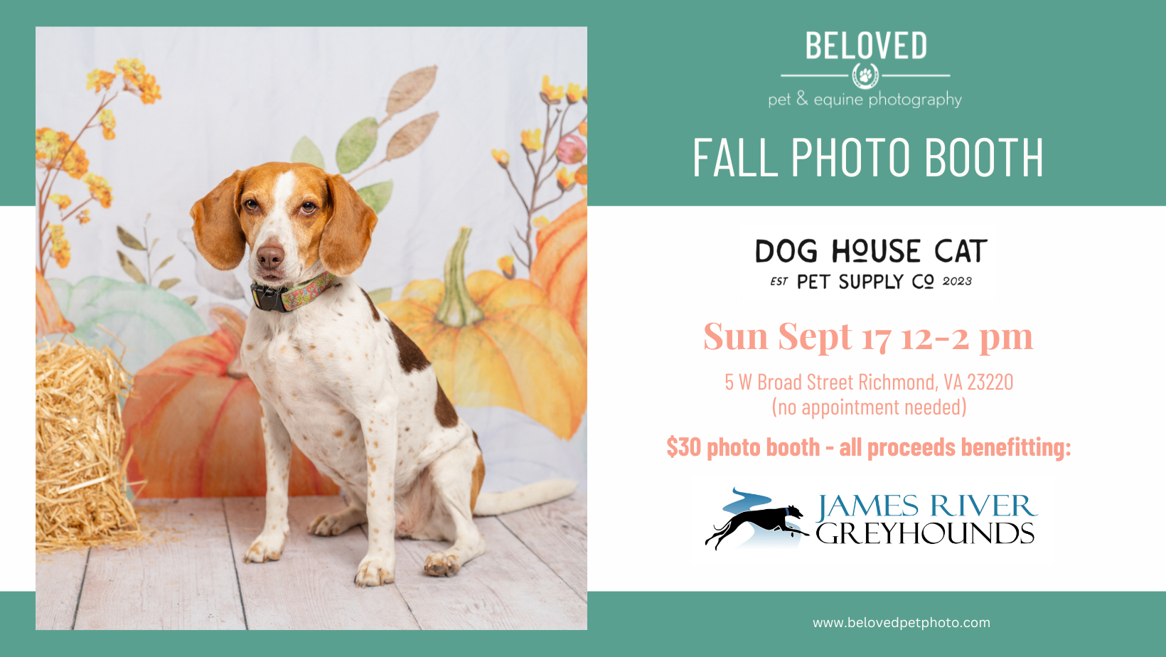 Fall Photobooth with Beloved Pet & Equine Photography