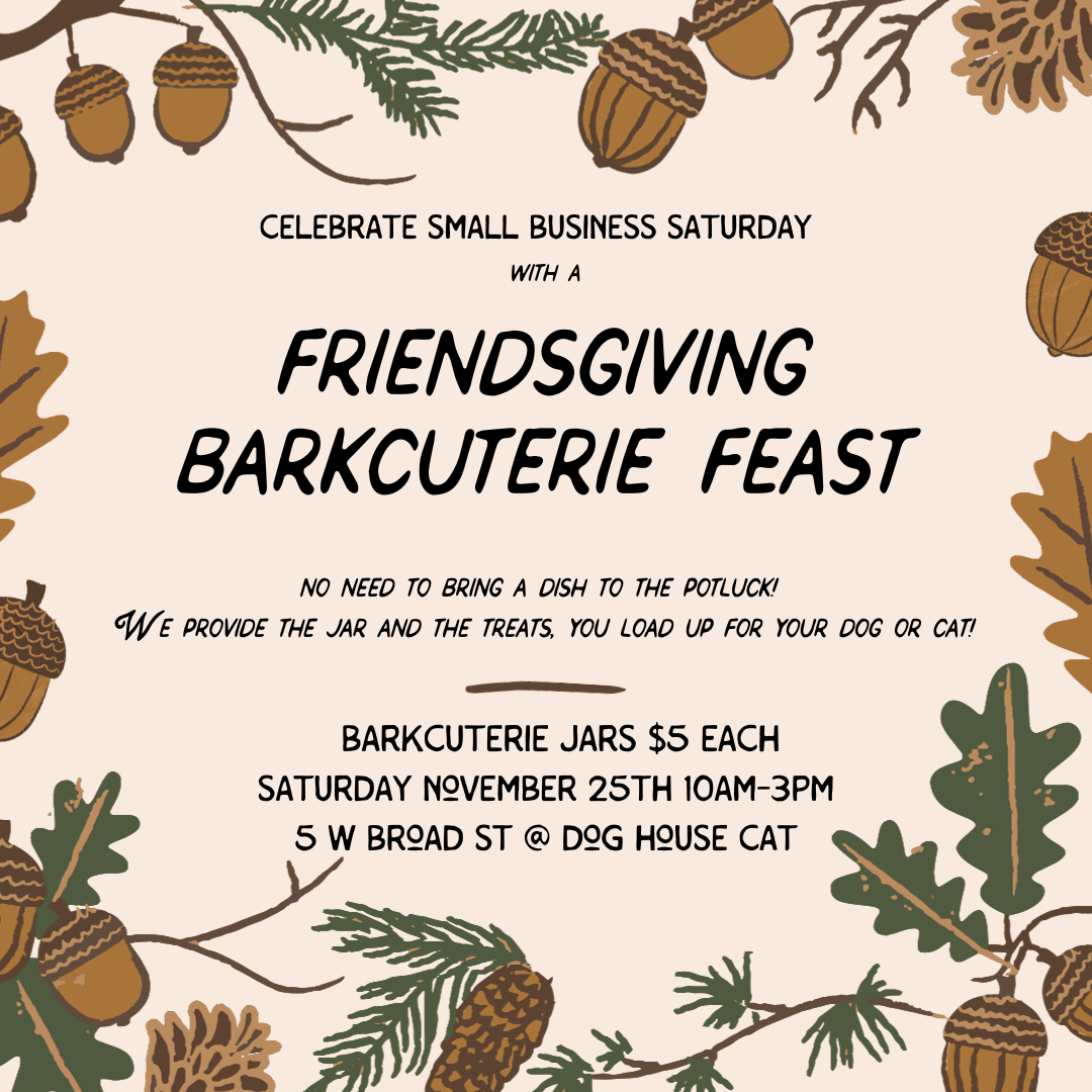 friendsgiving small business saturday