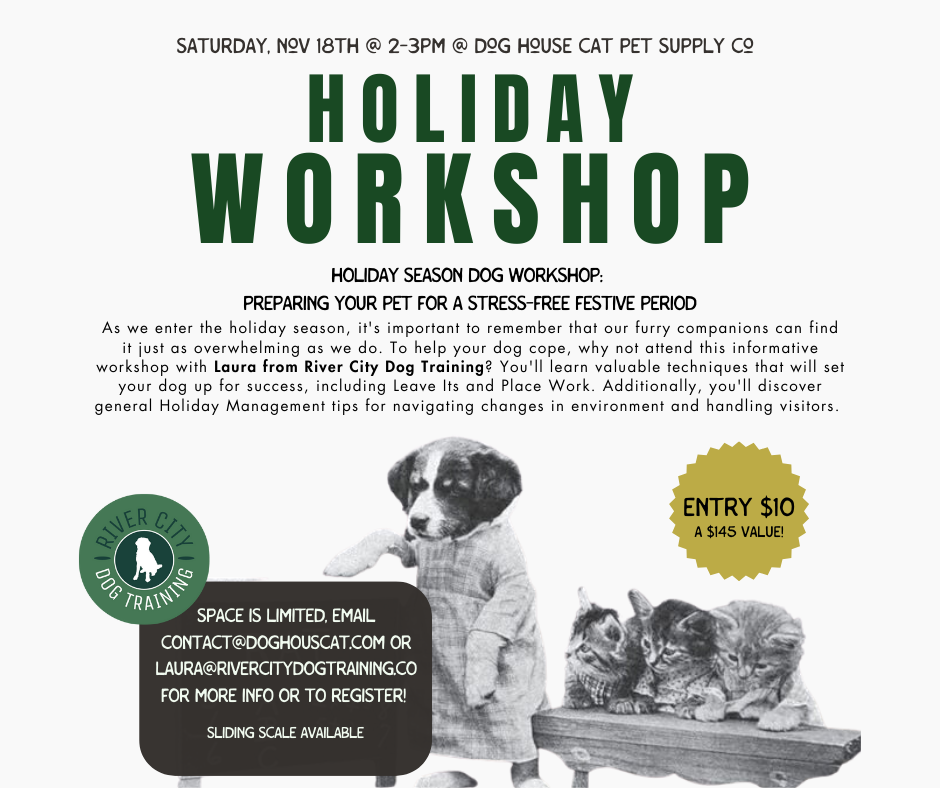 Holiday Season Dog Workshop