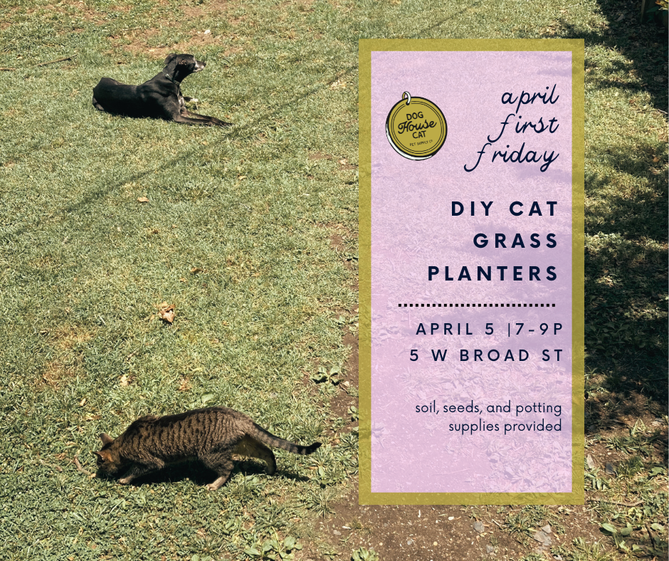 April First Friday - DIY Catgrass Planters