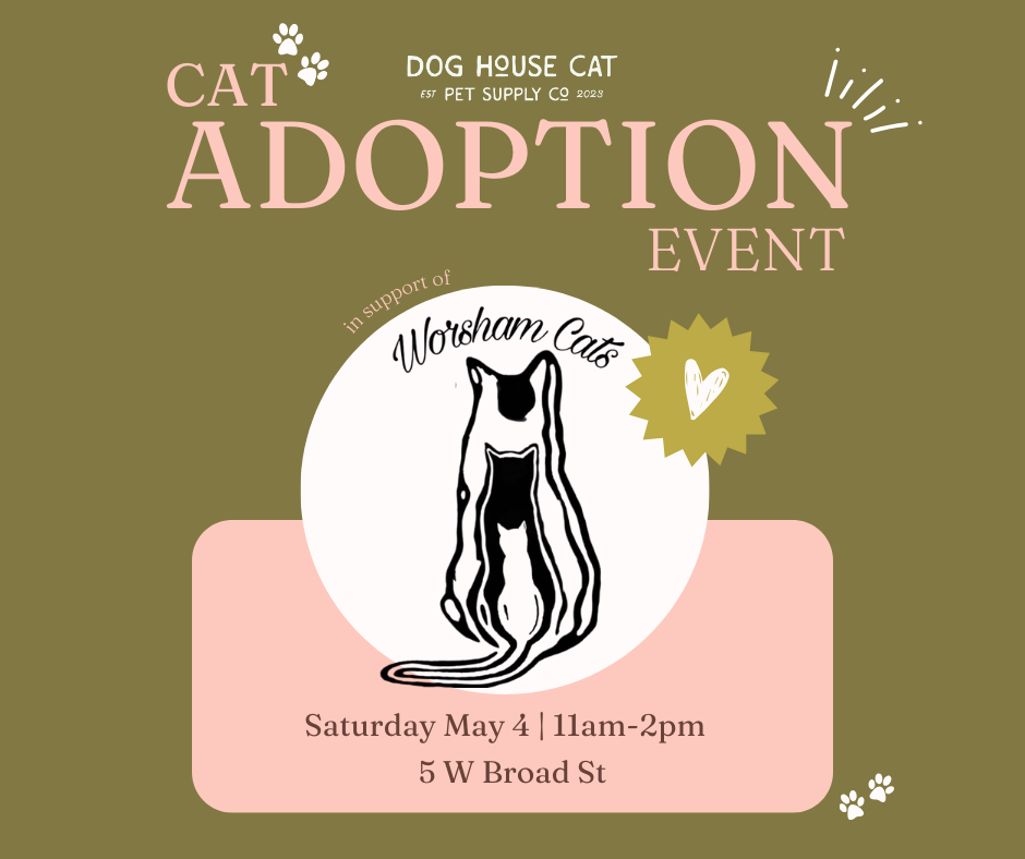 Cat adoption event