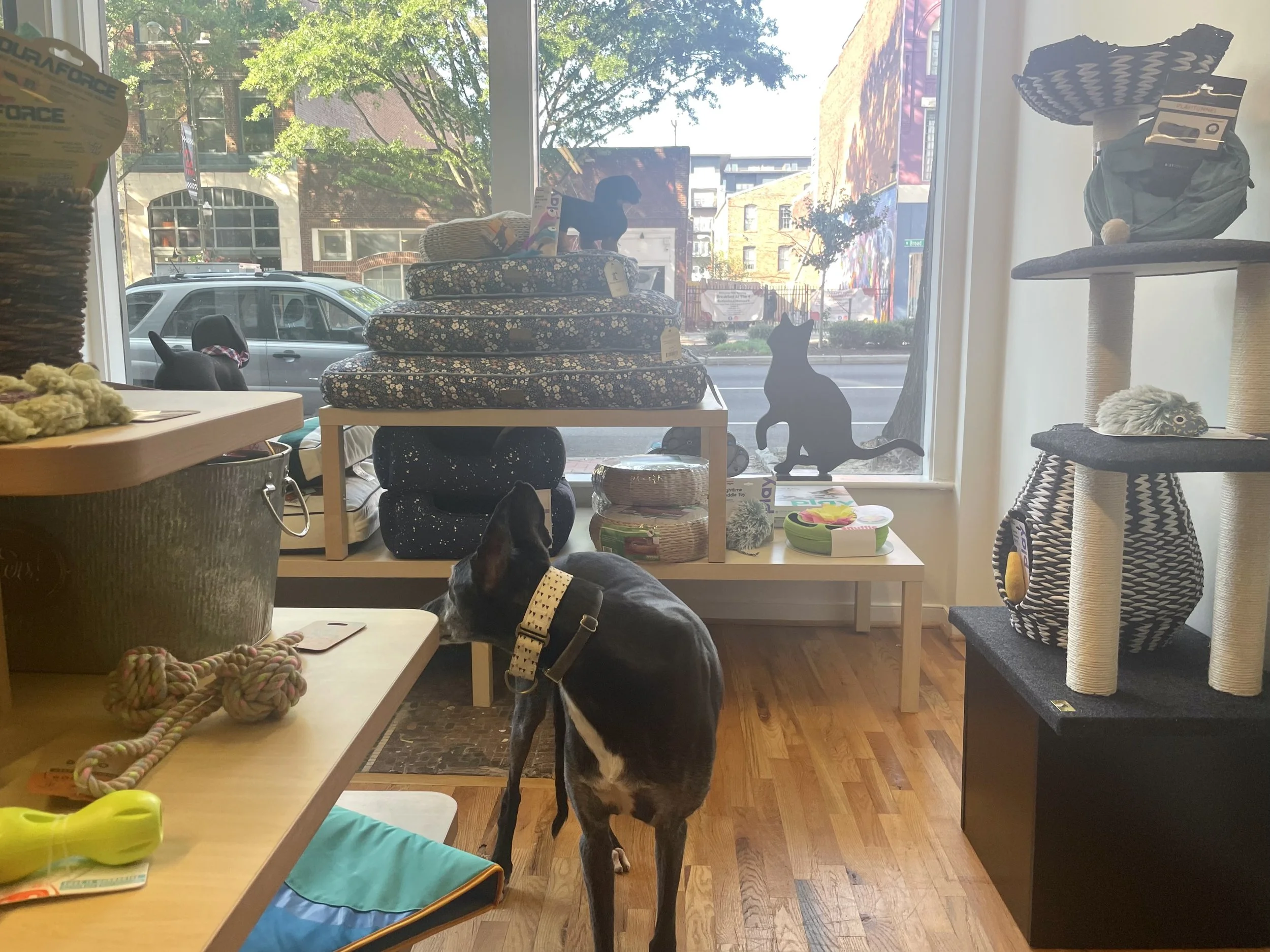 Dog House Cat Pet Supply Co