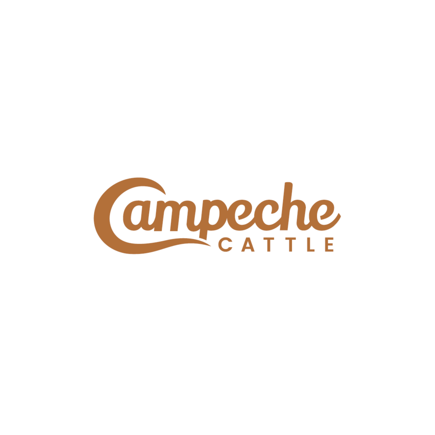 Campeche Cattle Co.