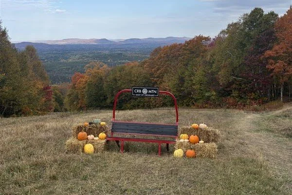 View on top of mountain.jpg