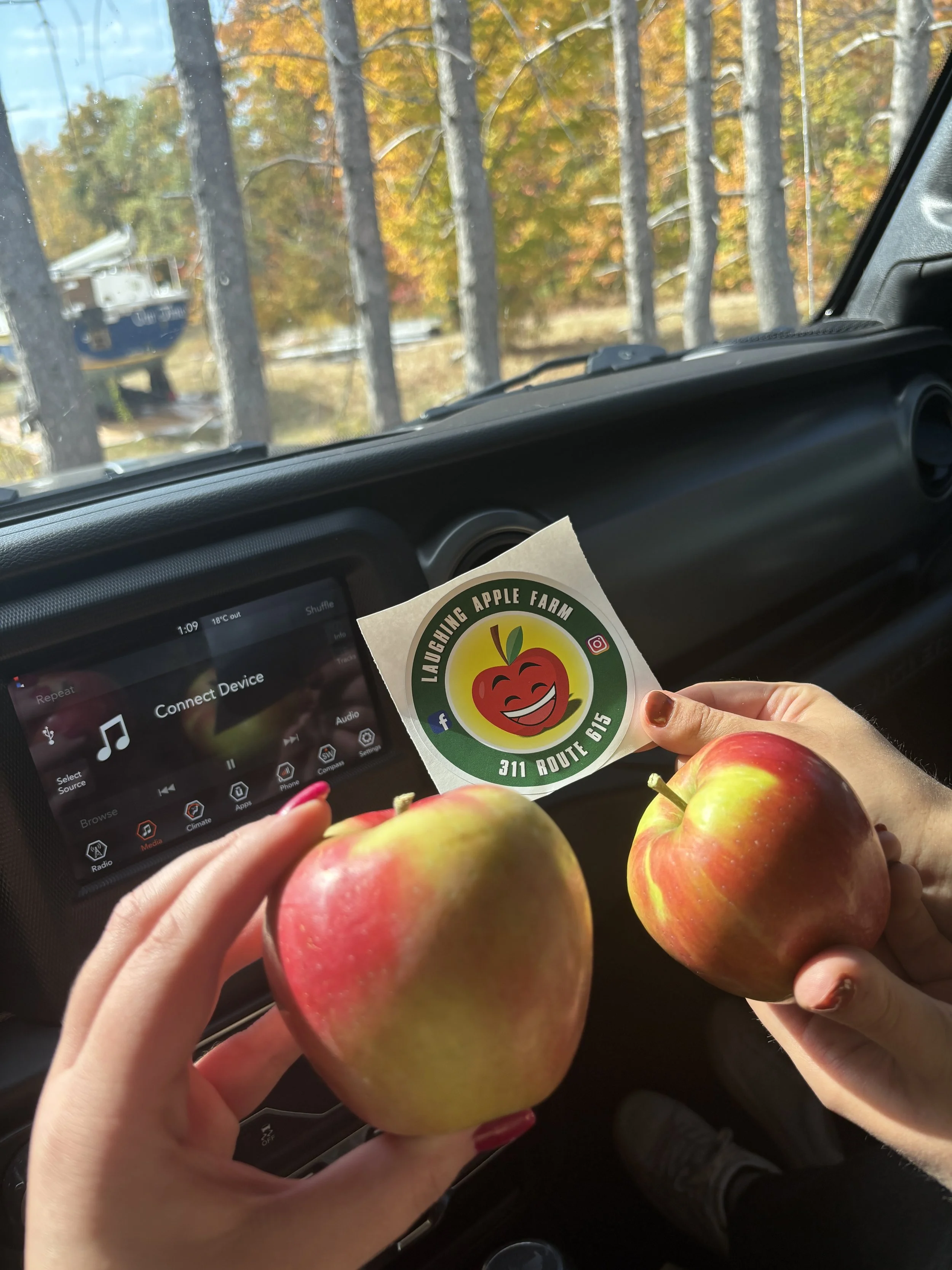 Apples from Laughing Apples.jpg