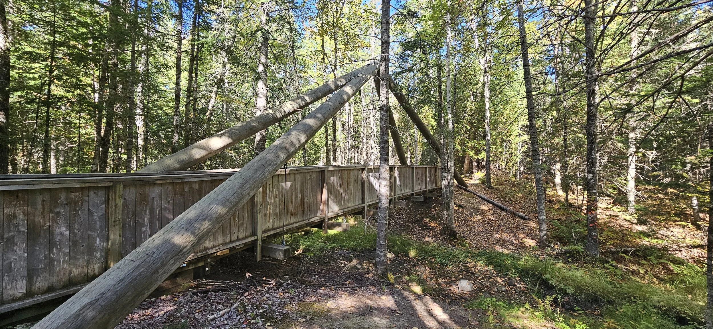New Maryland Trails Bridge 1.jpg