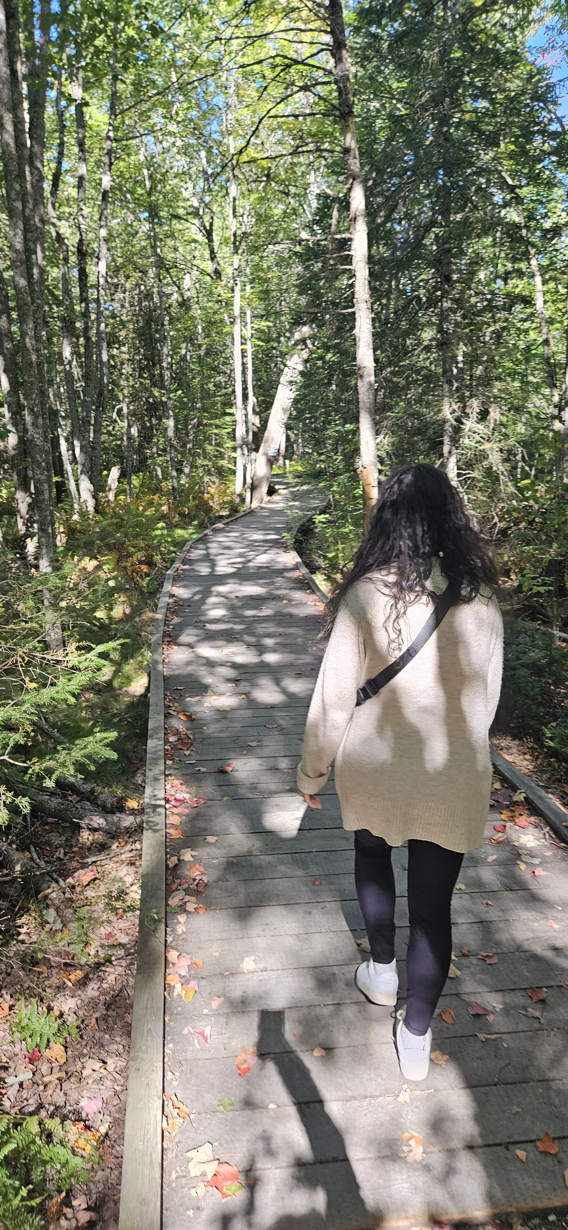 New Maryland Trails boardwalk - Julia1.jpg