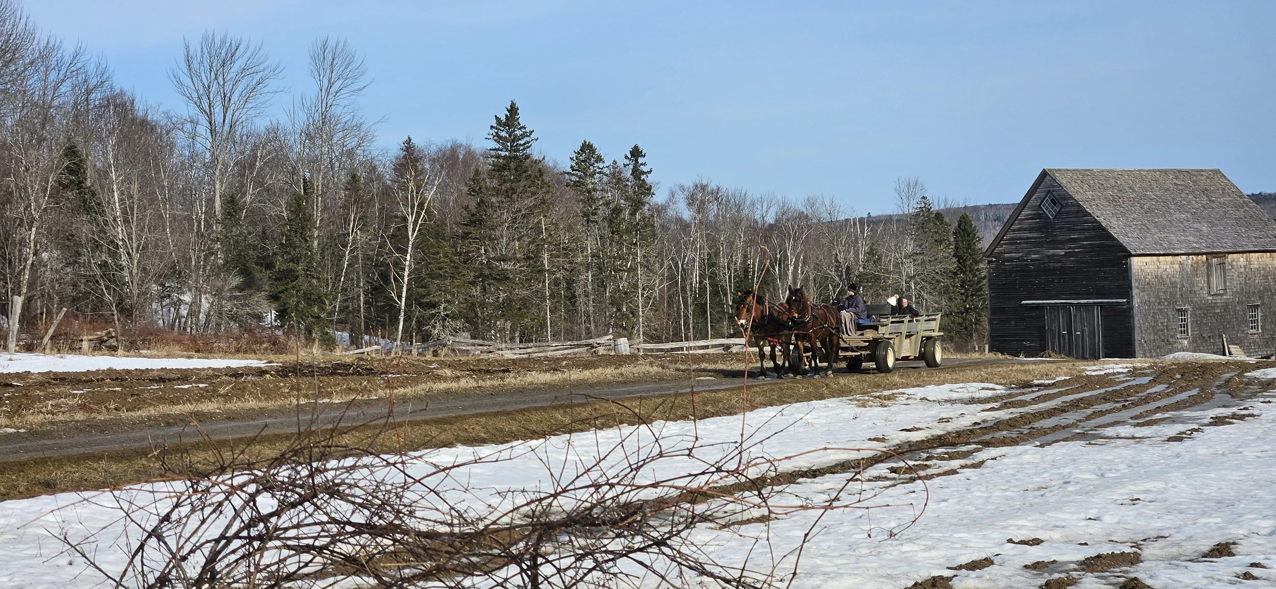 King's Landing Landscape - Horses.jpg